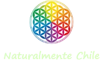 logo-centro